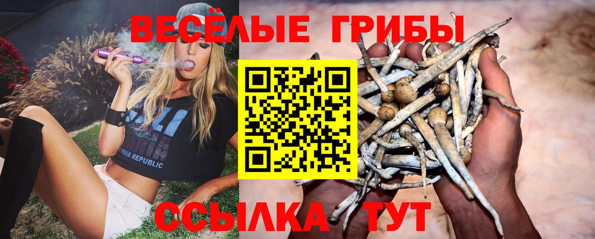 Псилоцибиновые грибы MAGIC MUSHROOMS Кулебаки
